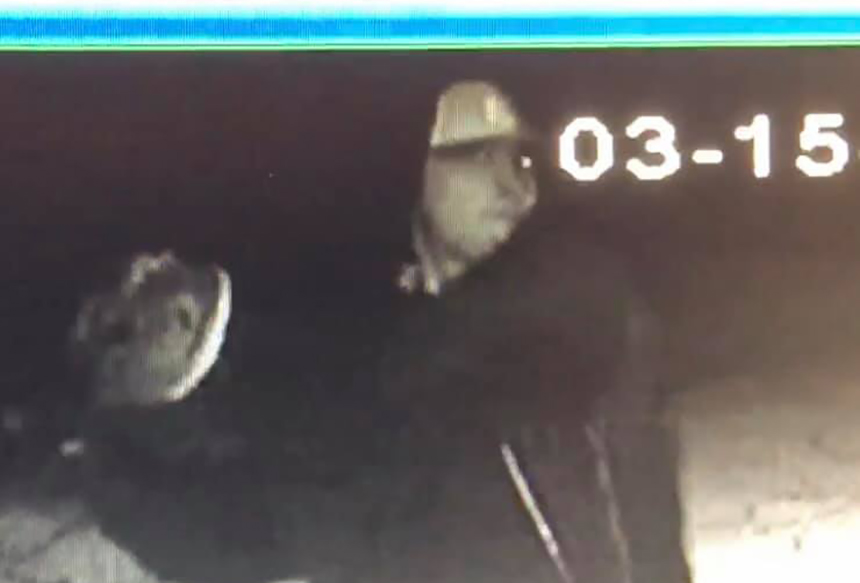 53700344 10156004795622256 1916735795582992384 n