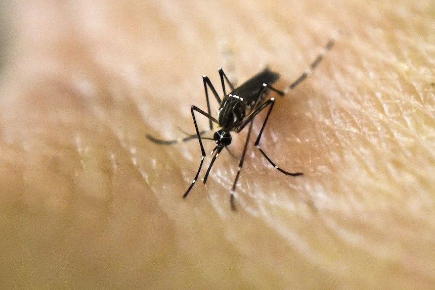 First death from West Nile virus in Idaho this year