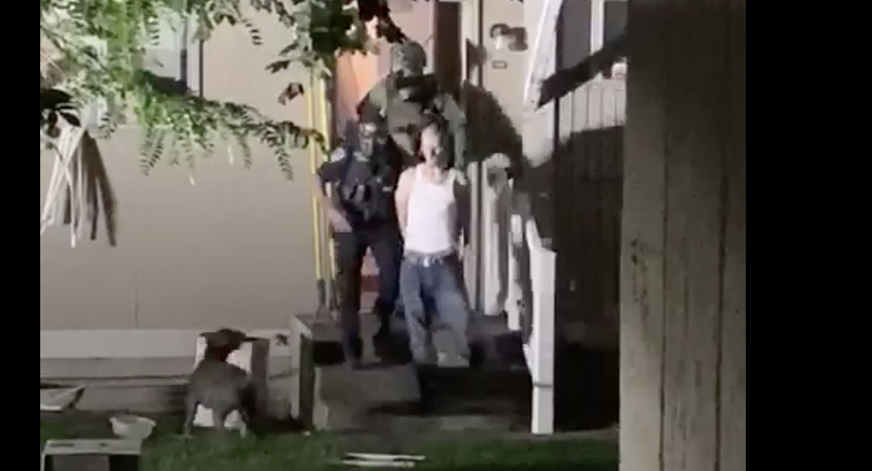 Screen Shot 2019 08 19 at 10.59.04 AM