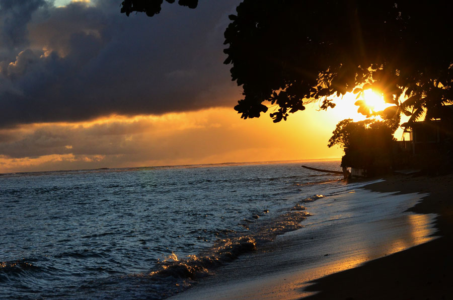 Hawaii1 19