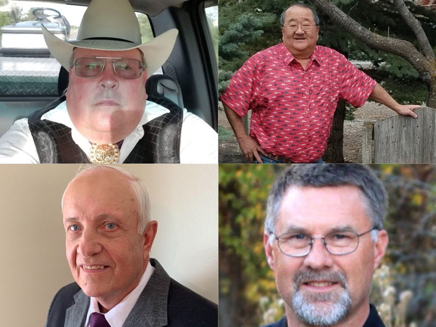 Davis Kamanchi Singleton and Hobbs