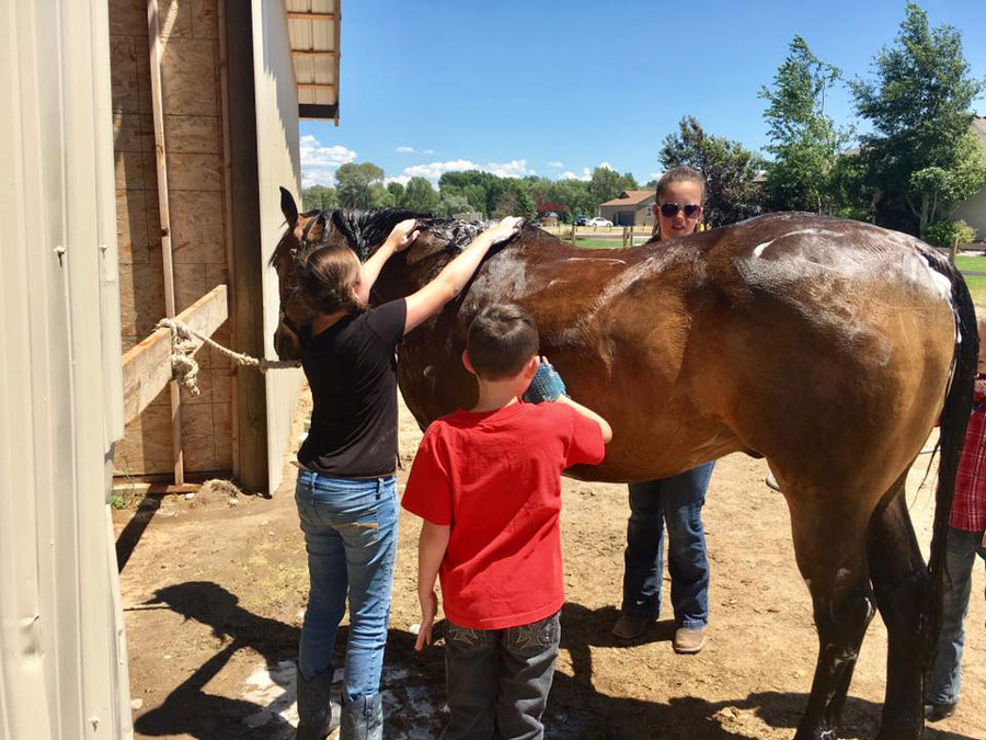 kids and horse