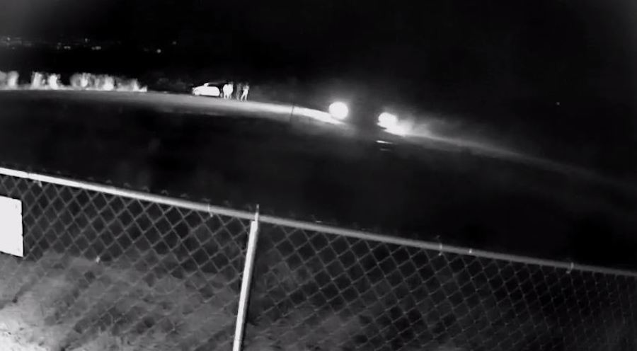 Suspects outside Vehicle