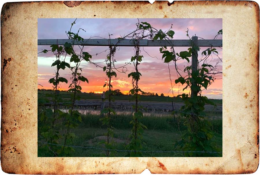 pella 07 20 western transport winner