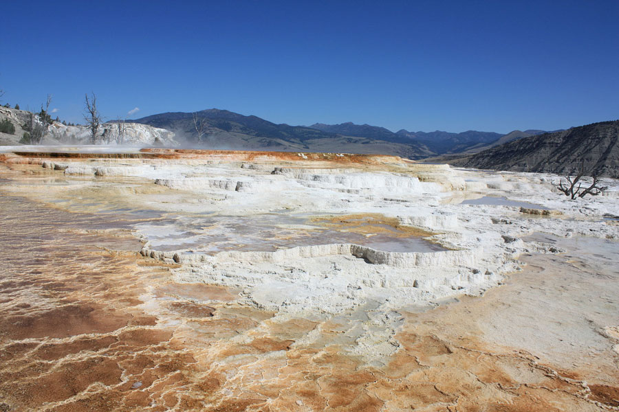 mammoth hot springs