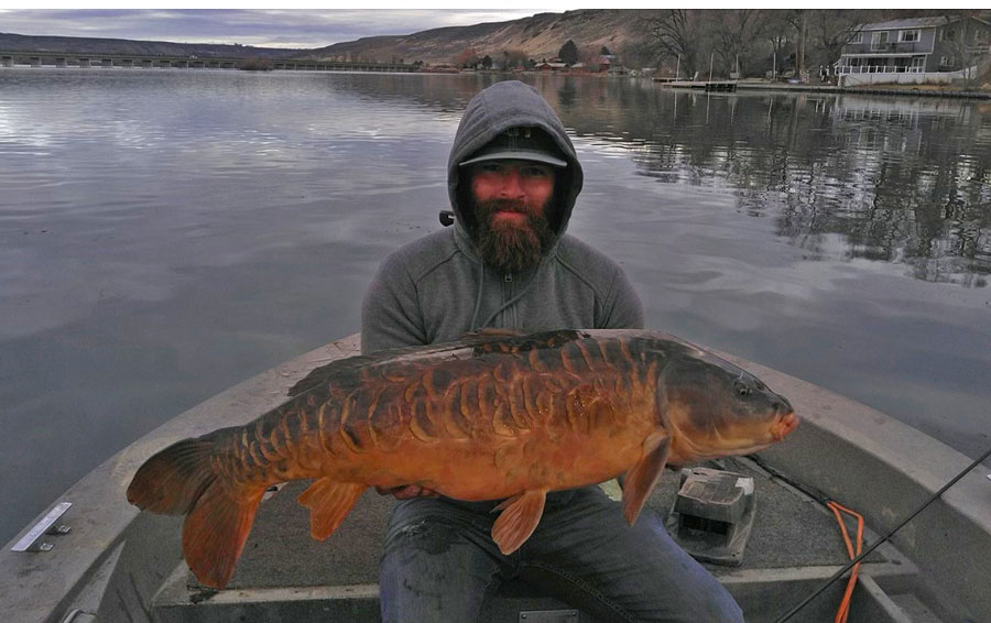 state record carp
