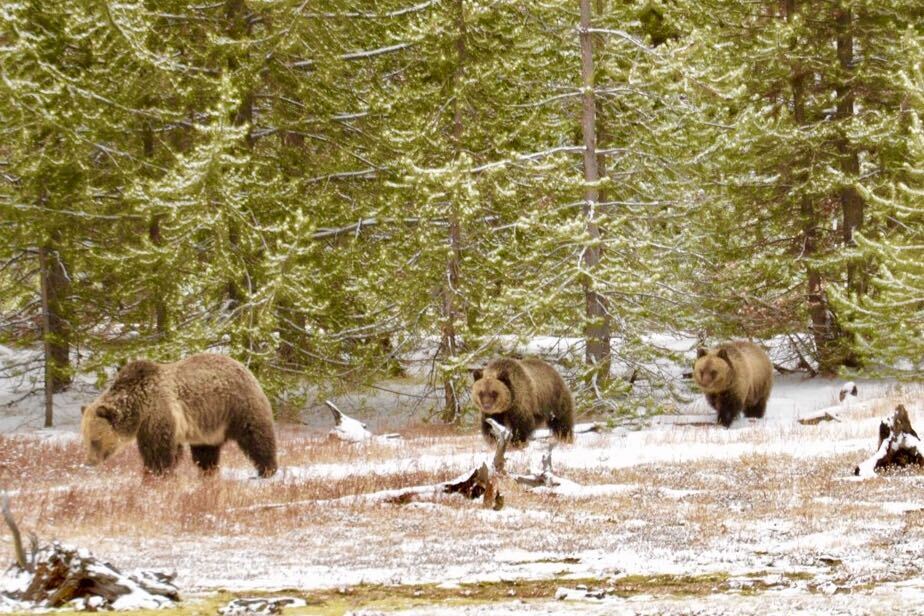 83630340 617E 42E3 837A 509319E9D6C6