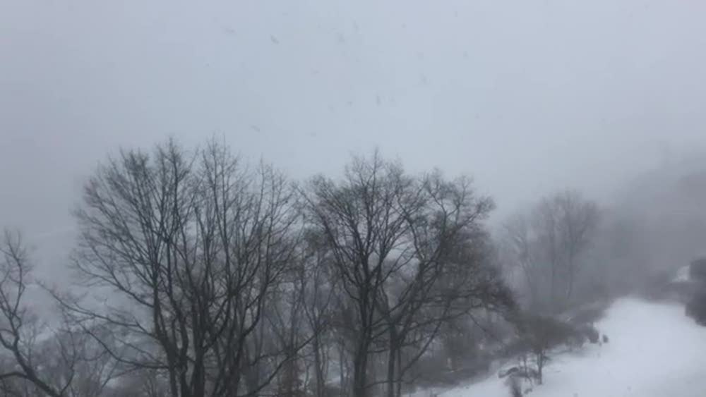 bitcentral 2.0 afc1dfa02b7d4c6227de54f3eb5bd12 162550 1