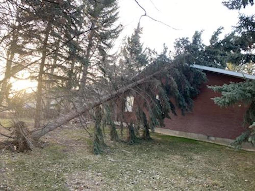 170511356 547539919550780 2104795903093158623 n