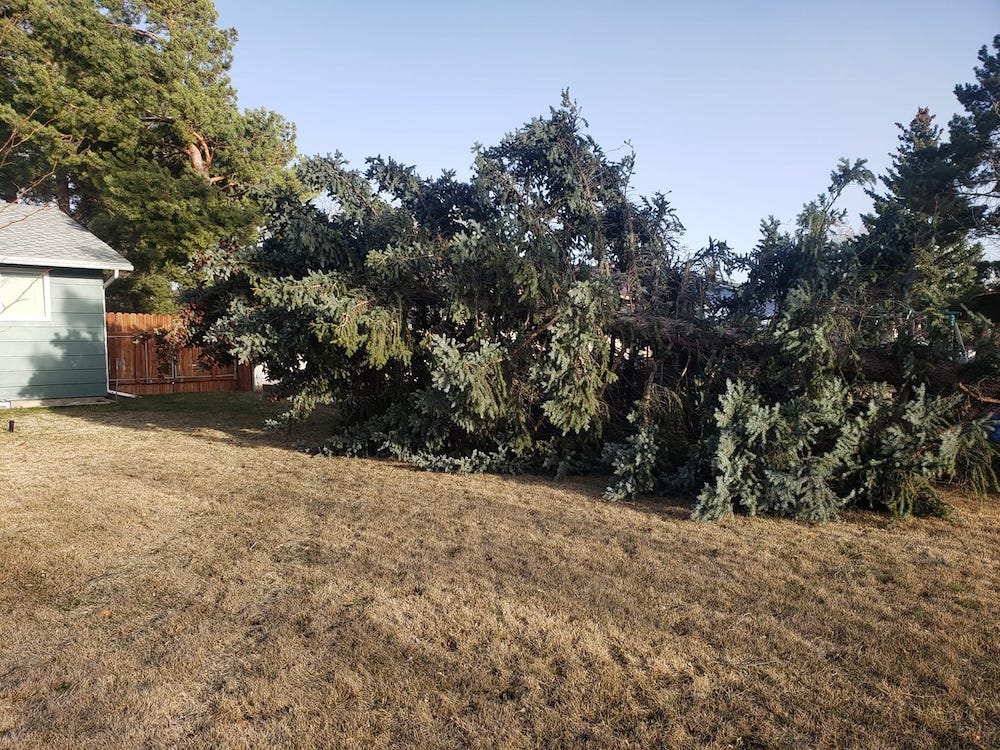 172899584 10220126918502602 1377259117909144116 n