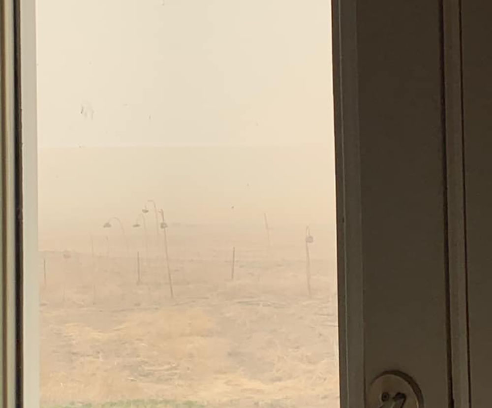 172116462 10159499179101458 5844679319840793258 n