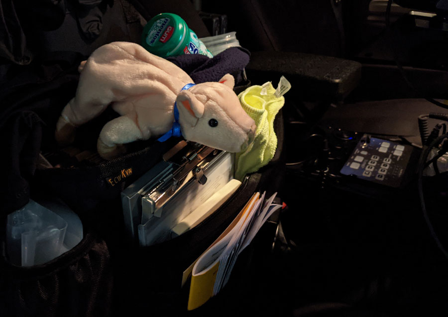 Paul the Pig. CPD officer Tyler Hoffa's riding partner