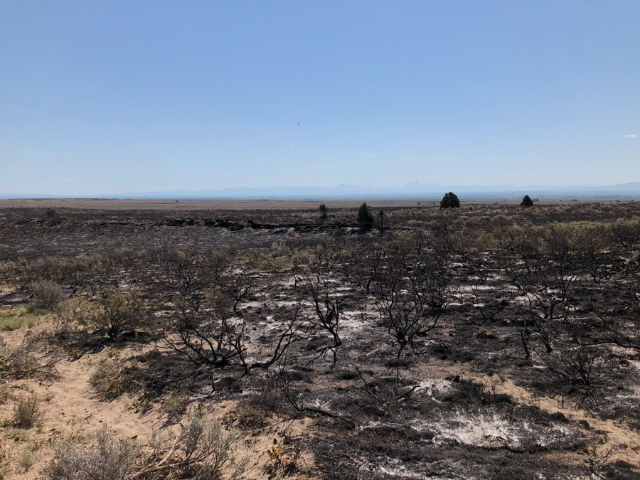 black knoll fire 2