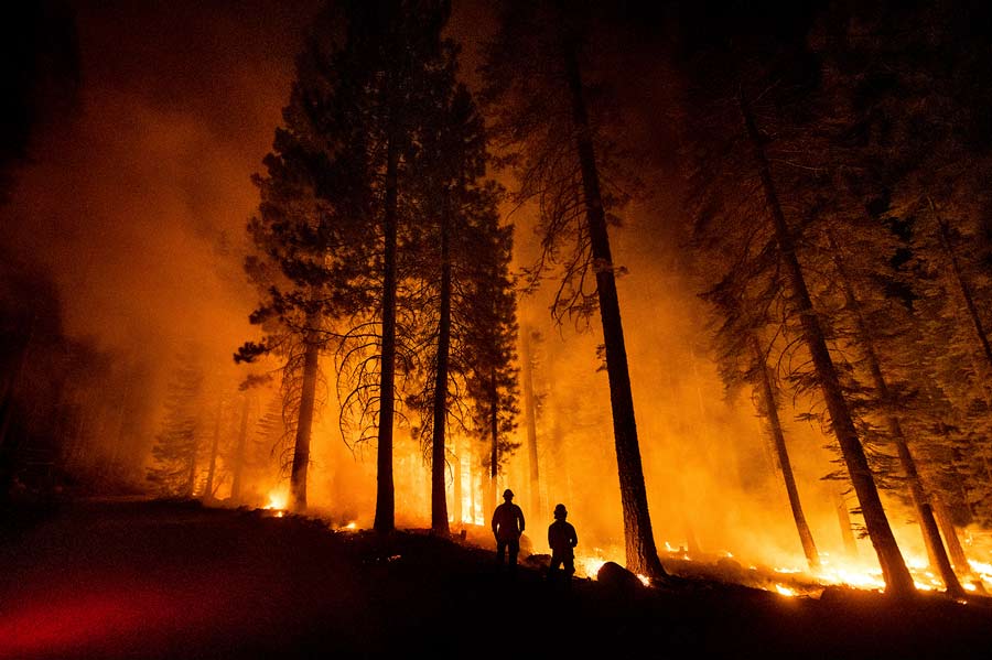 western wildfire