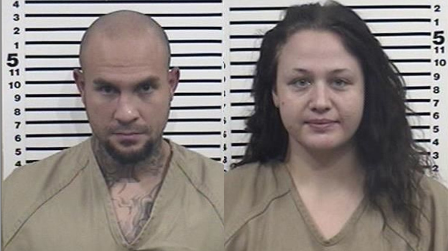 McDonald and Terrisse