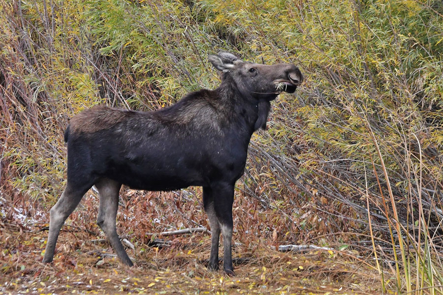 Sandhills Gathering6 21