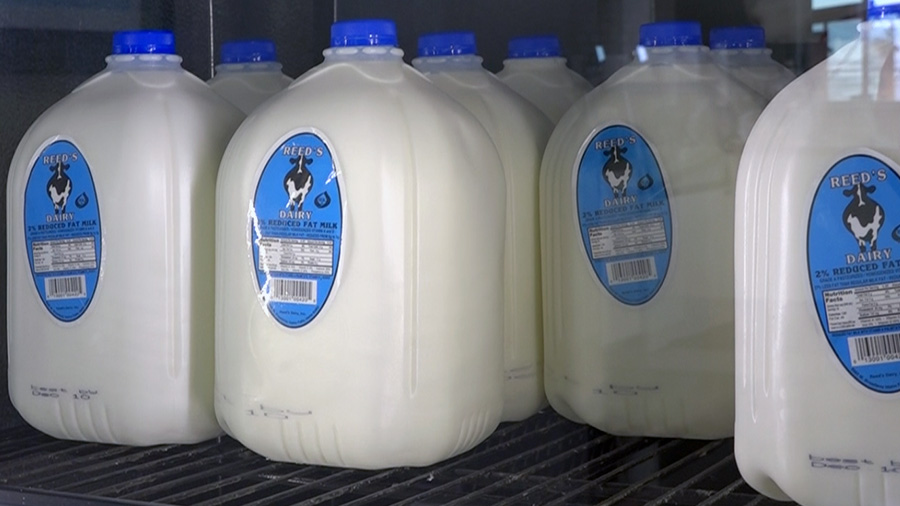 Reed's Dairy giving away a year's supply of milk East Idaho News