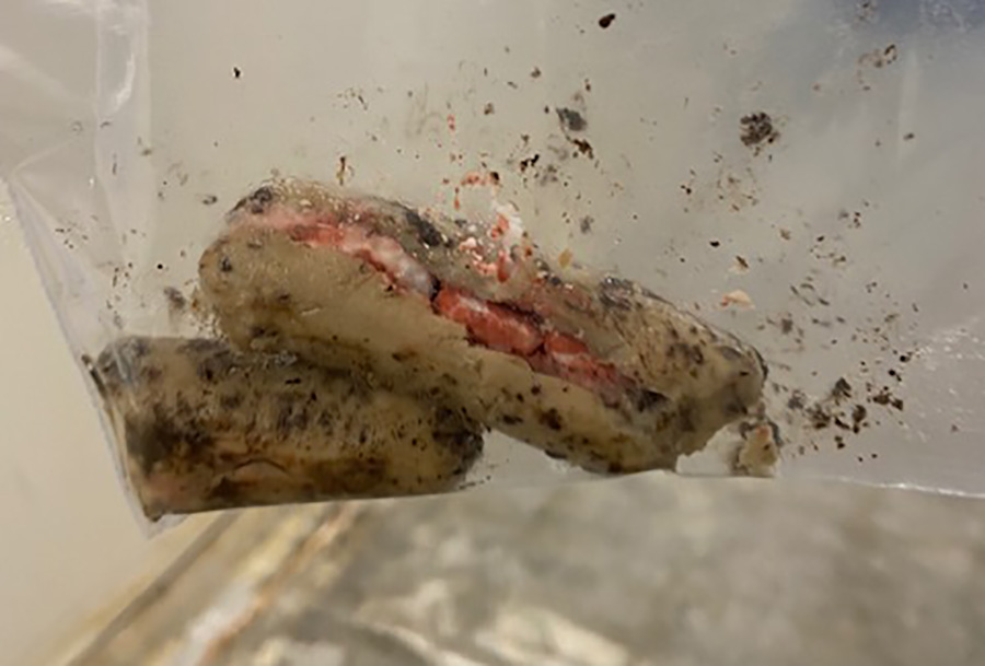 hotdog with ibuprofen copy