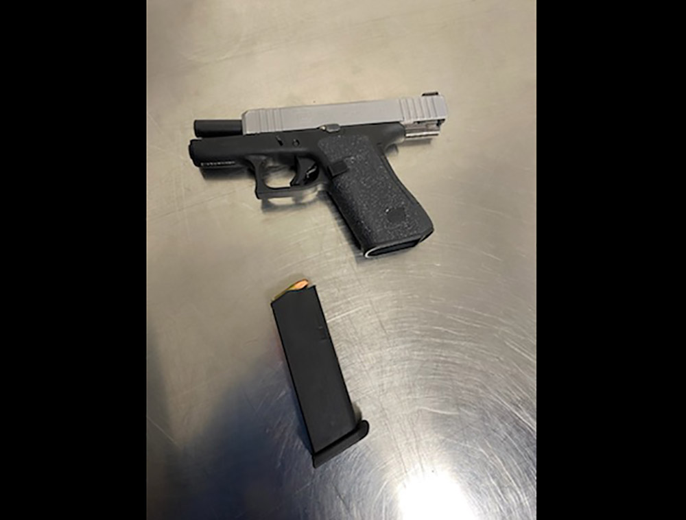 IDA firearm 2 2022 04 13