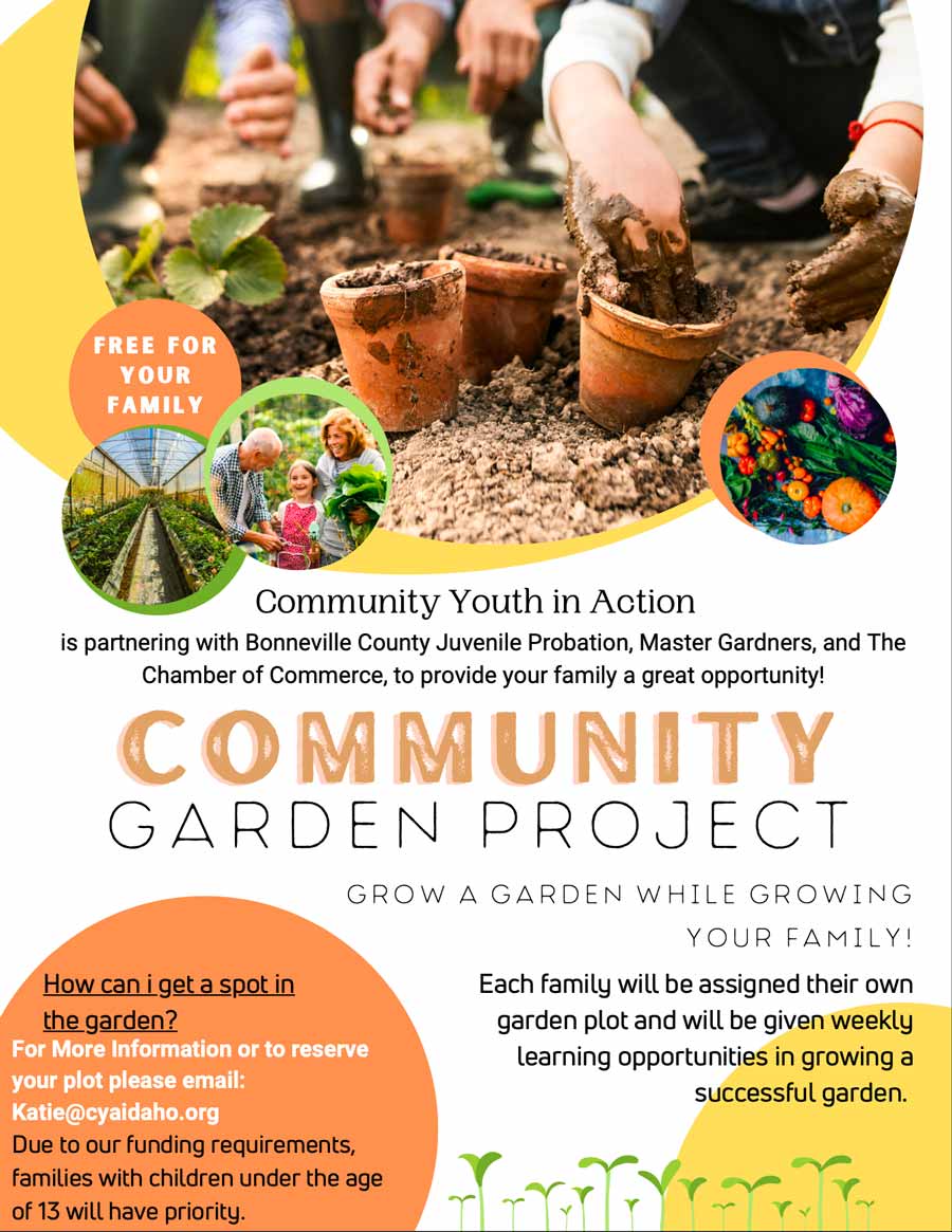 community garden project pic