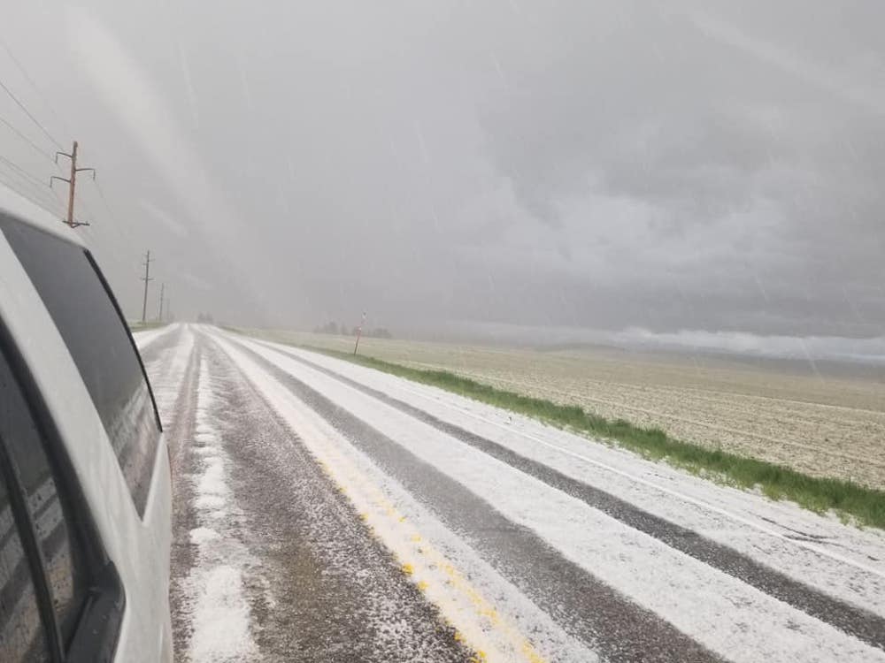 286393497 344483831139622 5323307012326620501 n