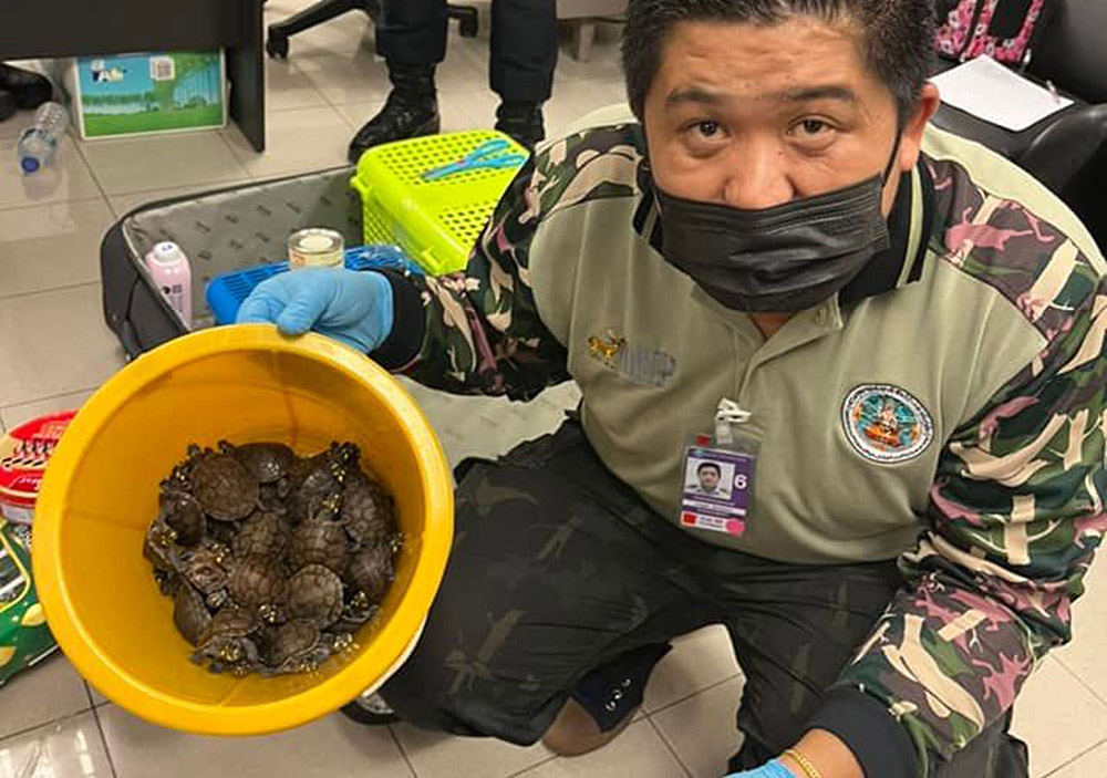 hypatia h 1c496aff1f9aa8c67cf36c3a852b786f h d7ba1d57a3a687dab4913a94dbb3a0db