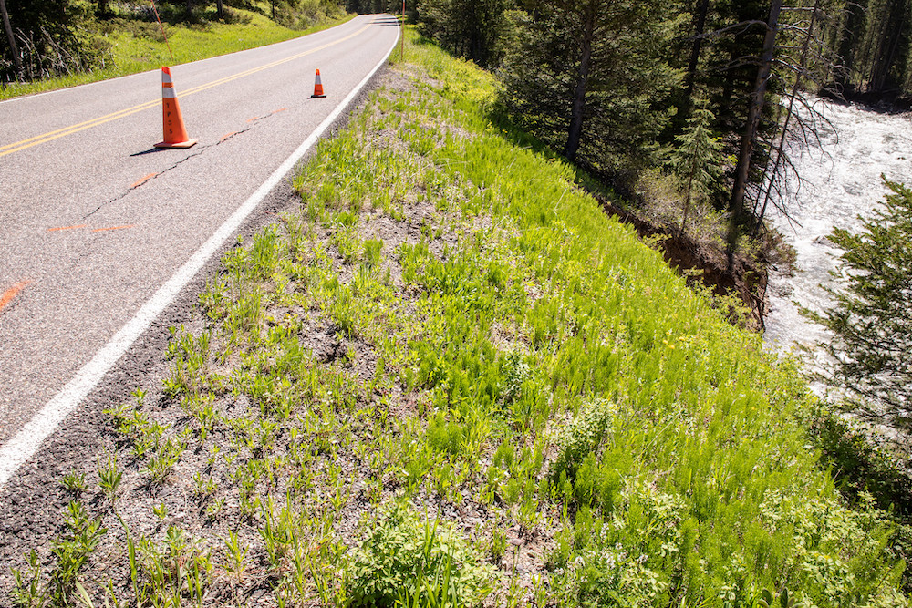 52180070066 6c2d576b14 k