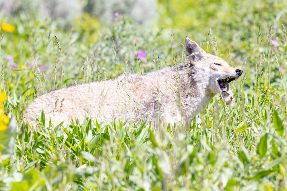 52184960596 24eb3c5df5 k