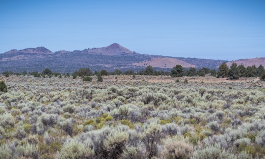 squaw ridge lava bed wilderness study area revised version use this one