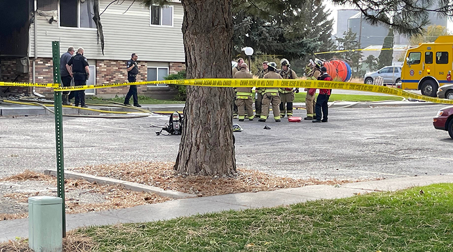 311158171 3247981225441711 4122738509937375511 n