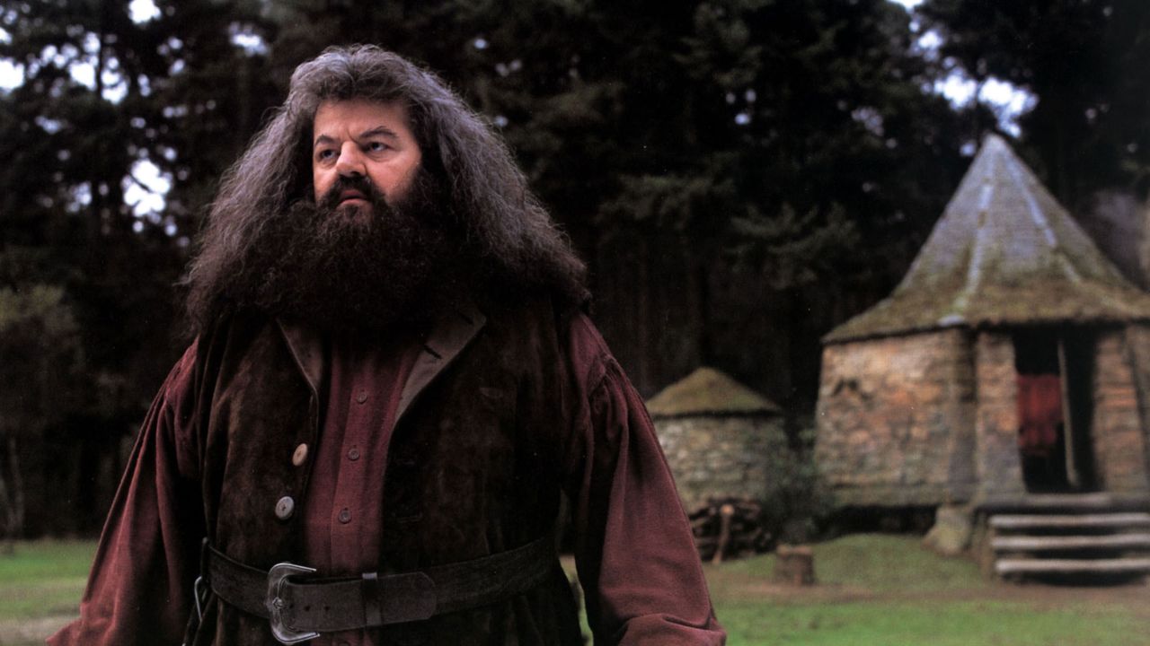 Robbie Coltrane2