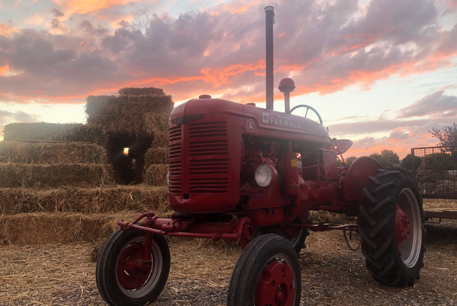 Malad Heritage Harvest Fest