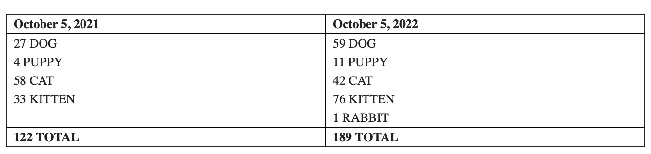 pocatello animal shelter 