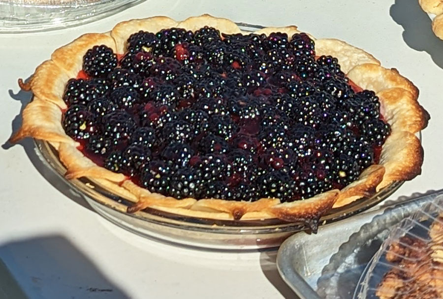 Malad Valley Heritage Square Harvest Festival