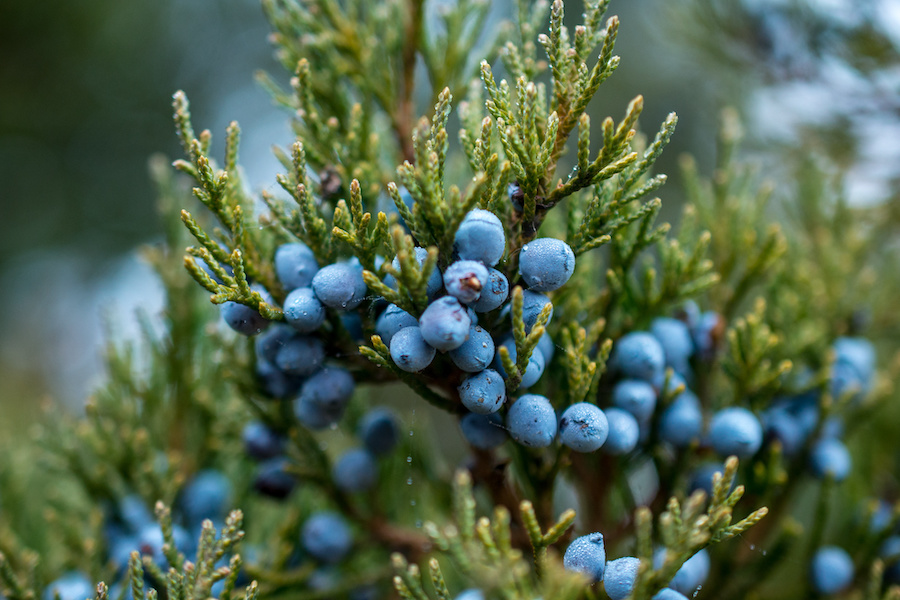 AdobeStock 136348473