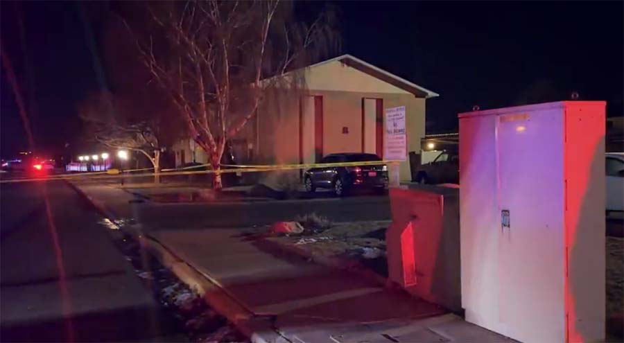 Screen Shot 2023 01 12 at 9.59.37 AM copy