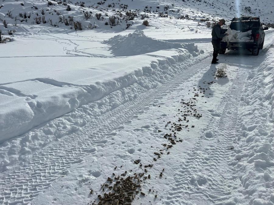 Idaho Fish and Game initiates winter feeding action in Bear Lake County - Vimarsana News