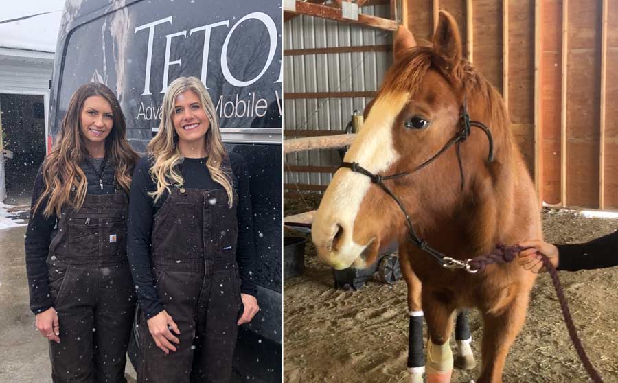 Biz Buzz: New mobile clinic in Idaho Falls provides veterinary care for horses