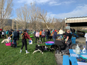 f48262 96313561b3b049089902633e2311d28e mv2 1