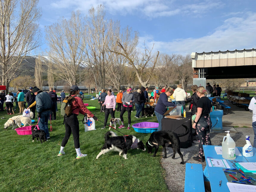 f48262 96313561b3b049089902633e2311d28e mv2 1