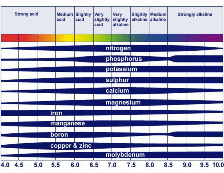 nutrient graphic