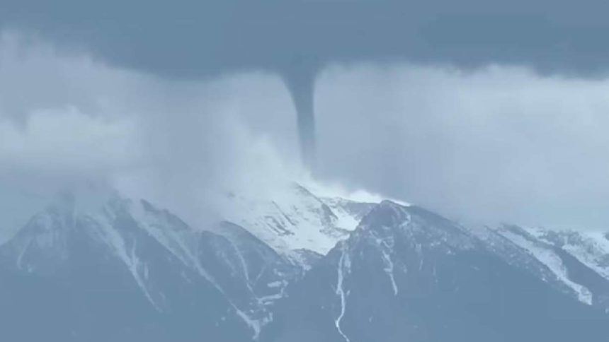 29306047 e1684707078798