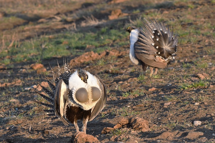 64C0C2A7 00AB 481B 9645 E763D4BD88F8