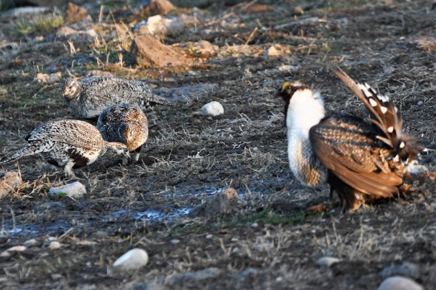 7044FEDF 5044 49AA A852 F4391511B4A5