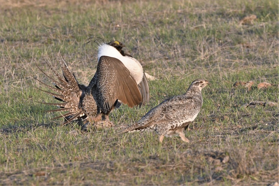 C7BB4579 189D 45CC A807 FD7799B7EB23