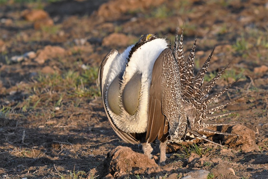 FE9E0E40 08A7 4998 B49D F17539C925B8