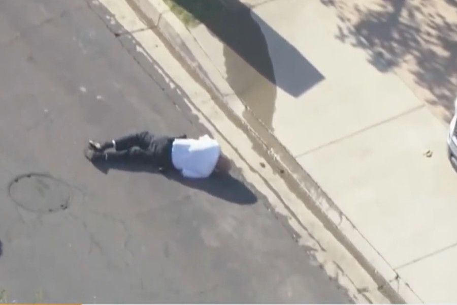 VIDEO: LAPD volunteer, others attacked by bees that ‘want to kill you’