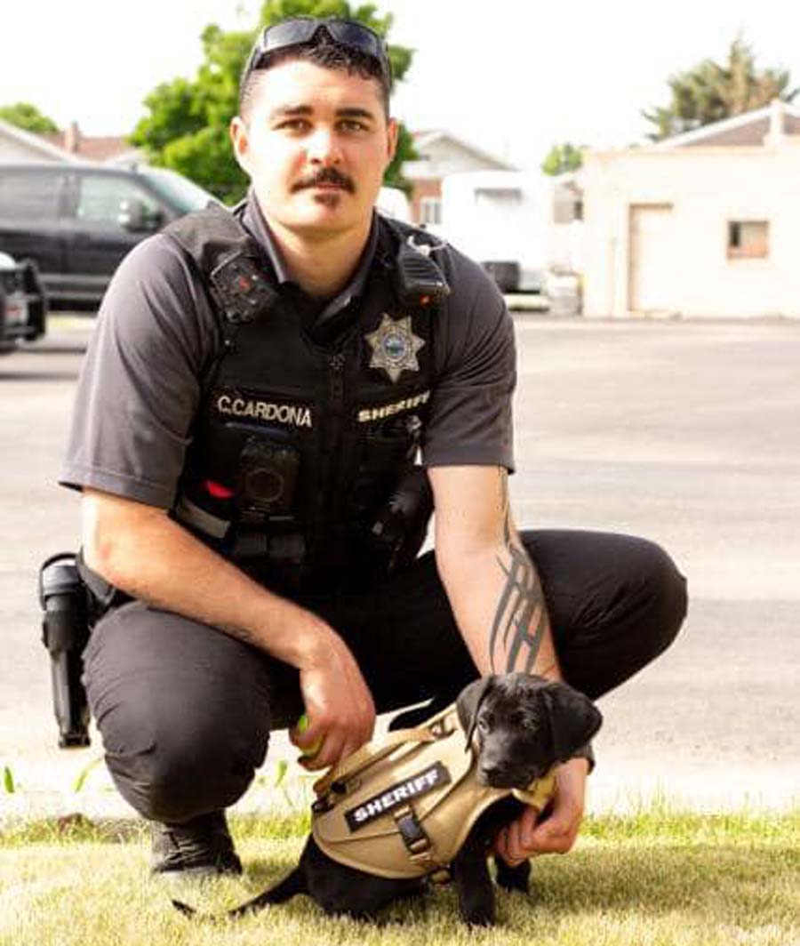 355866736 571660705142806 3383224050214287447 n