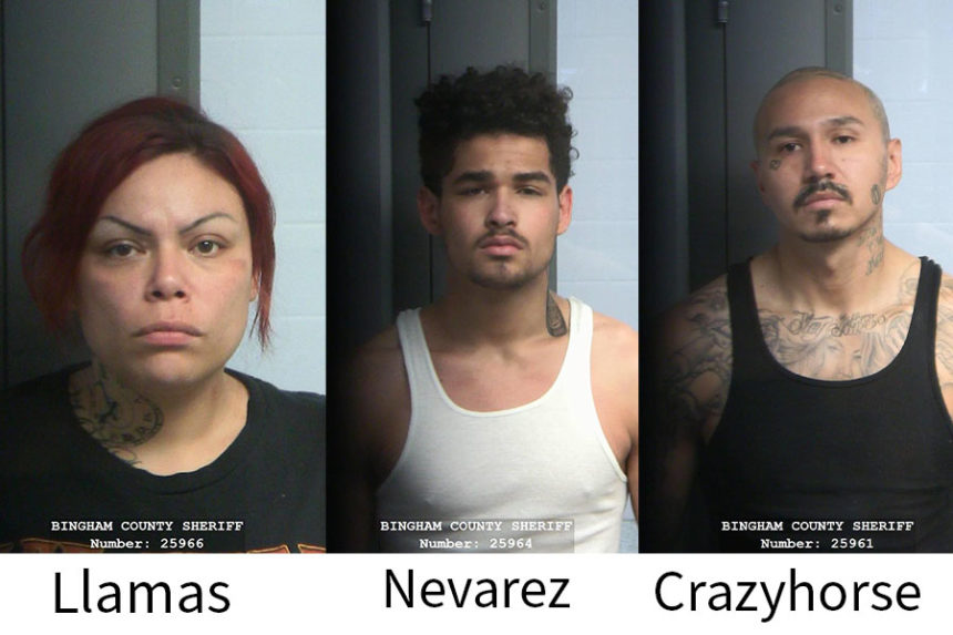Llamas Nevarez Crazyhors mugs