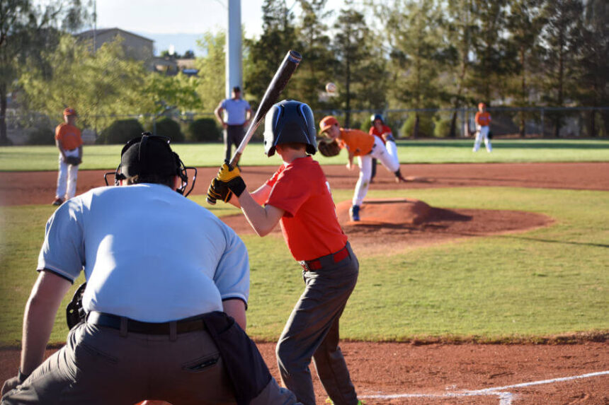 baseball umpire